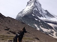 Ki-Shani